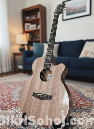Tanglewood Blackbird Electro Acoustic Guitar